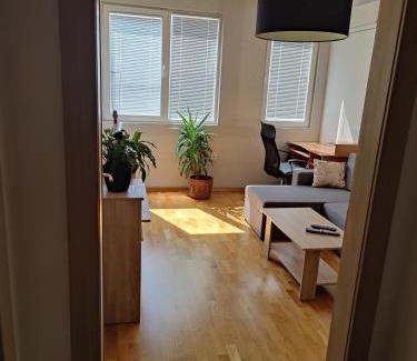 Medijana Apartment | Apartman Aleksic