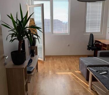 Medijana Apartment | Apartman Aleksic