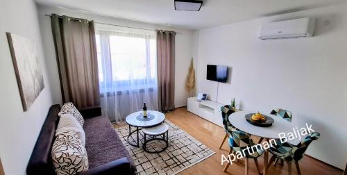 Canton 10 Apartment | Apartman Baljak