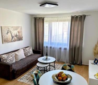 Canton 10 Apartment | Apartman Baljak