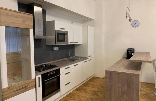 Usti nad Labem Apartment | Apartman Centrum 302