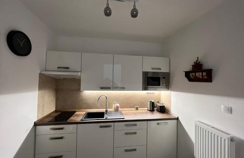 Usti nad Labem Apartment | Apartman Centrum 401