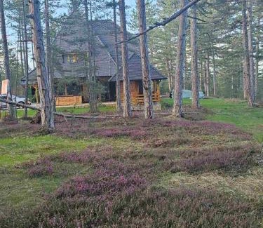 Kremna Cabin | Apartman Crni bor 2 Tara