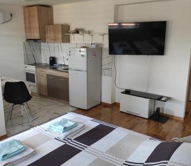 Zvezdara Apartment | Apartman Dami