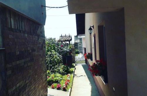 Vrdnik Apartment | Apartman Darija
