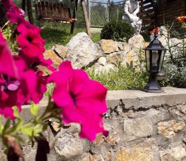 Vrdnik Apartment | Apartman Darija
