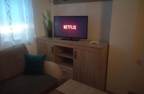 Canton 10 Apartment | Apartman Dijana