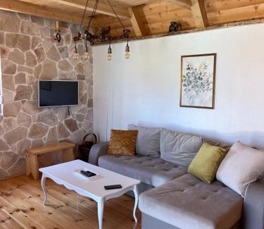 Njegovuđa House | Apartman Djina Zabljak