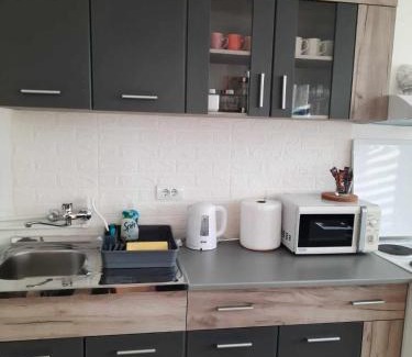 Pozarevac Apartment | Apartman Djokic 3