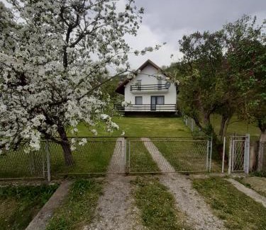 Mokra Gora Apartment | Apartman Djokovic