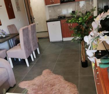 Veliko Gradiste Apartment | Apartman Goga 2