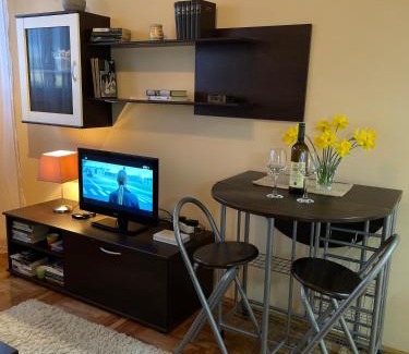 Lazarevac Apartment | Apartman Helena
