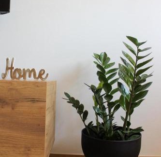 Medjugorje Apartment | Apartman IM7 Međugorje