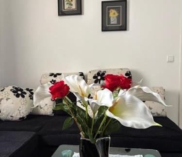 Bileca Apartment | Apartman JANA