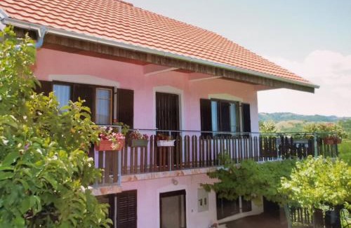 Donji Milanovac Apartment | Apartman Jaredić - Private Accommodation, Privatni Smeštaj