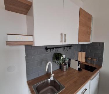 Golubac Apartment | Apartman Jedro Golubac