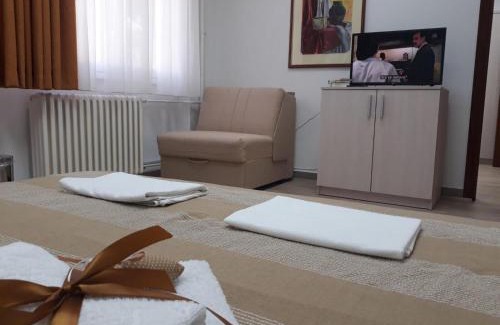 Leon Apartment | Apartman Karadjordje