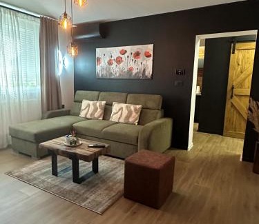 Slavonski Brod Apartment | Apartman KOCKICA Entry with PIN 0-24h , Free parking