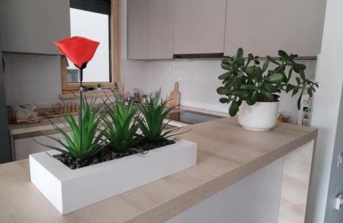 Zvezdara Apartment | Apartman Lion
