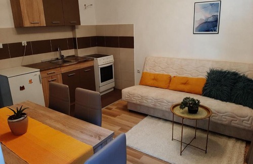 Jagodina Apartment | apartman m
