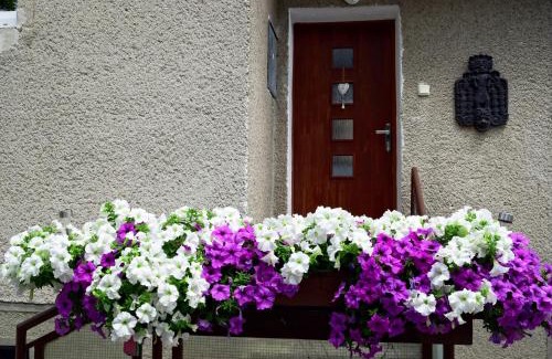 Martin Apartment | Apartman Martin