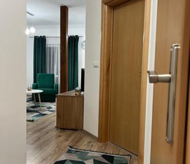 Canton 10 Apartment | Apartman Mrša