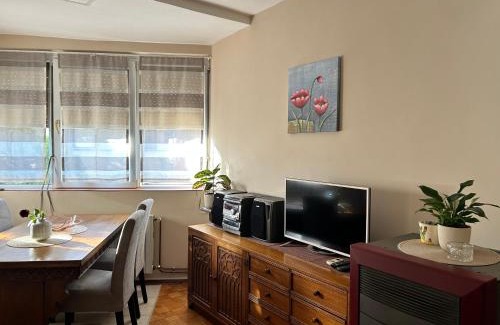 Cuprija Apartment | Apartman NANA