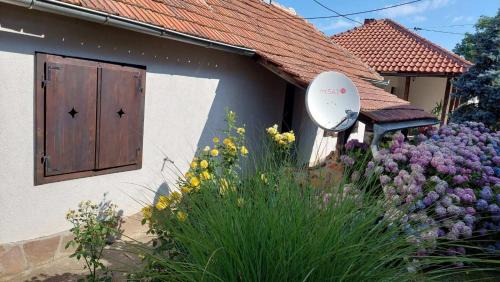Mladenovac Apartment | Apartman Nebojša