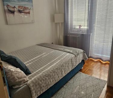 Pozarevac Apartment | Apartman Odmor012