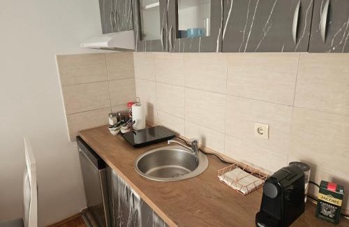 Pozarevac Apartment | Apartman Odmor012