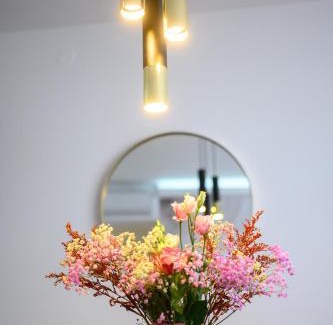 Metkovic Apartment | Apartman Olimp