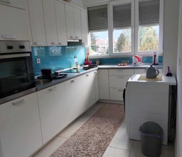 Mali Radic Apartment | Apartman OMANOVIĆ