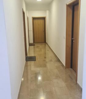 Velji Vinogradi Apartment | Apartman Palma, Budva