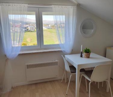 Canton 10 Apartment | Apartman Panorama