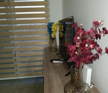 Veliko Gradiste Apartment | Apartman Pogled