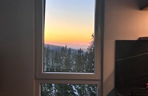 Jahorina Apartment | Apartman Snowflake 1