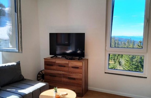 Jahorina Apartment | Apartman Snowflake 1