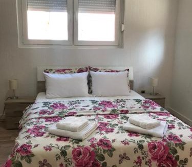Golubac Apartment | Apartman studio Milojkovic