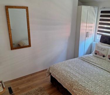 Arandelovac Apartment | Apartman Tara