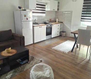 Arandelovac Apartment | Apartman Tara