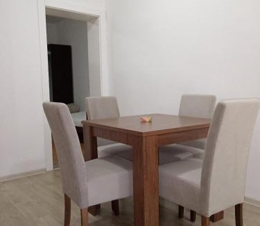 Negotin Apartment | Apartman TATTOO R