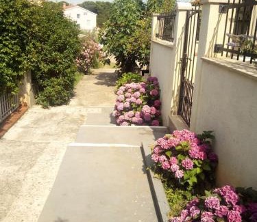 Vintijan House | Apartman Vida