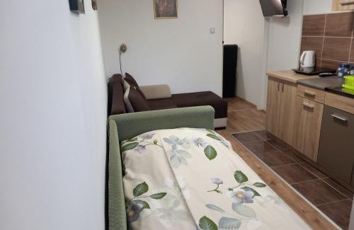Kursumlija Apartment | Apartmani Ćosić