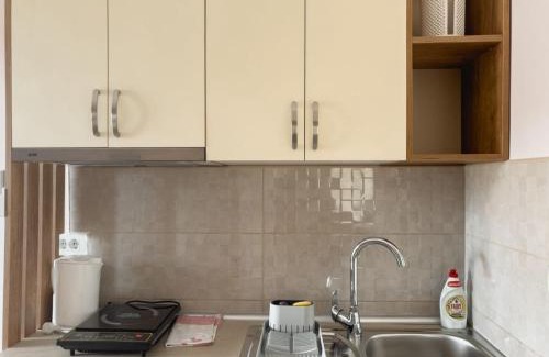 Golubac Apartment | Apartmani AquaMarine