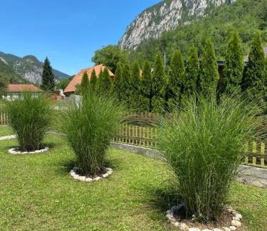 Central Serbia Apartment | Apartmani d&s