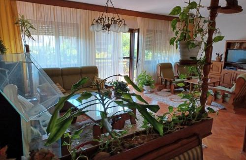 Osijek Apartment | Apartmani La Sa