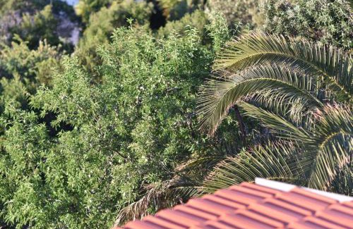 Pokrivenik Apartment | Apartmani Marko