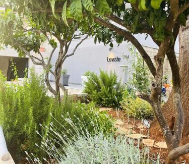 Loviste Apartment | Apartmani Roxy