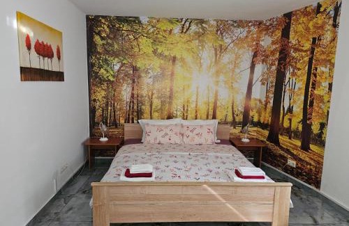 Golubac Apartment | Apartmani Royal Residence