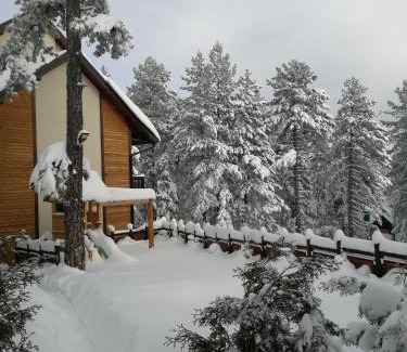 Kremna Cabin | Apartmani Sredojevic